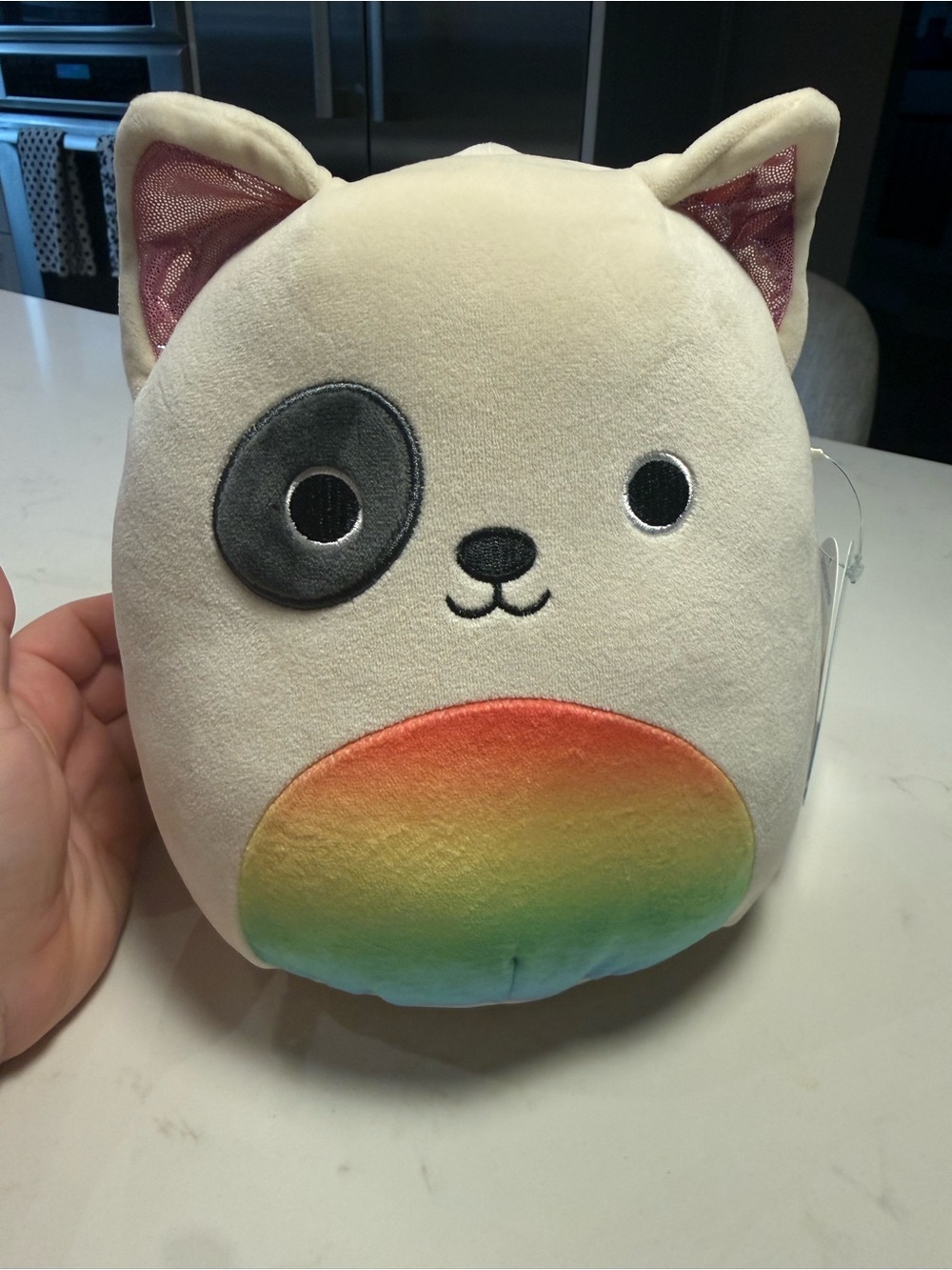 Squishmallow cat